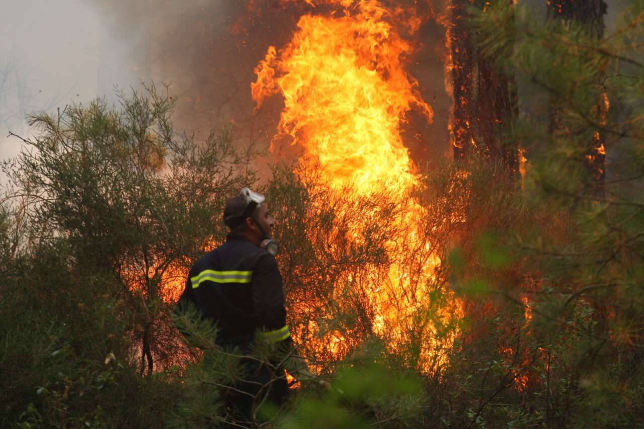 Muğla’da Orman Yangınlarının Acı Tablosu: 3 Yılda Yaklaşık 6 Bin Hektar Alan Kül Oldu 10